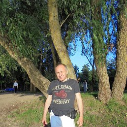 ���, ���������, 38 ���