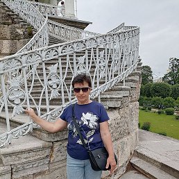 �������, ����������, 66 ���