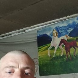 , 30, 