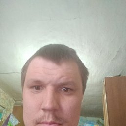 , 29, 