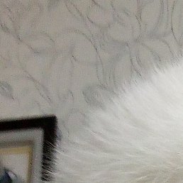 �������, ������, 60 ���