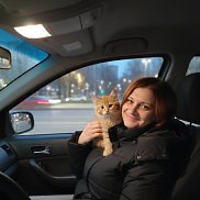 ����, 43 ����, ������