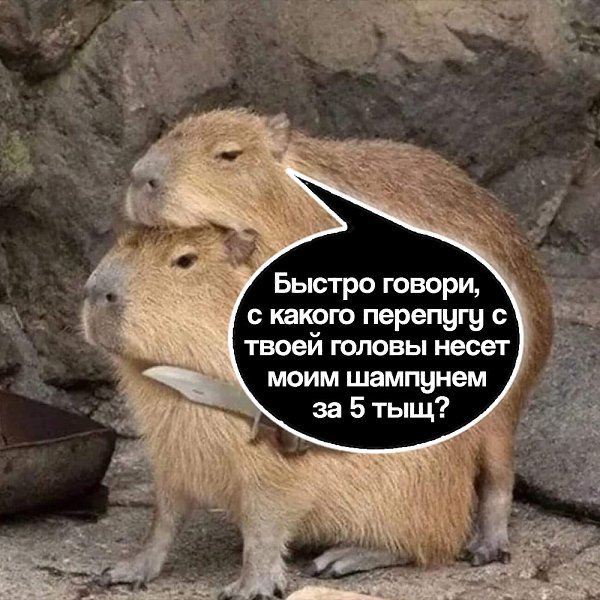 ������ - 13 ��� 2025 � 17:59