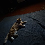 �������, 28 ���, ������-��-����