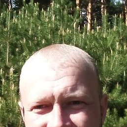, 43 , 