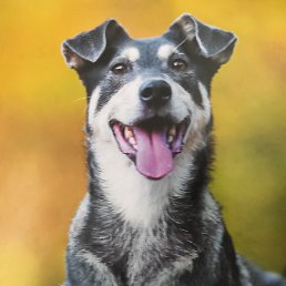 ���� ����, �����, 50 ��� - ��������� 2 ������ 2023