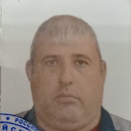 , 41, 