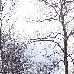 ����, ������, 43 ����