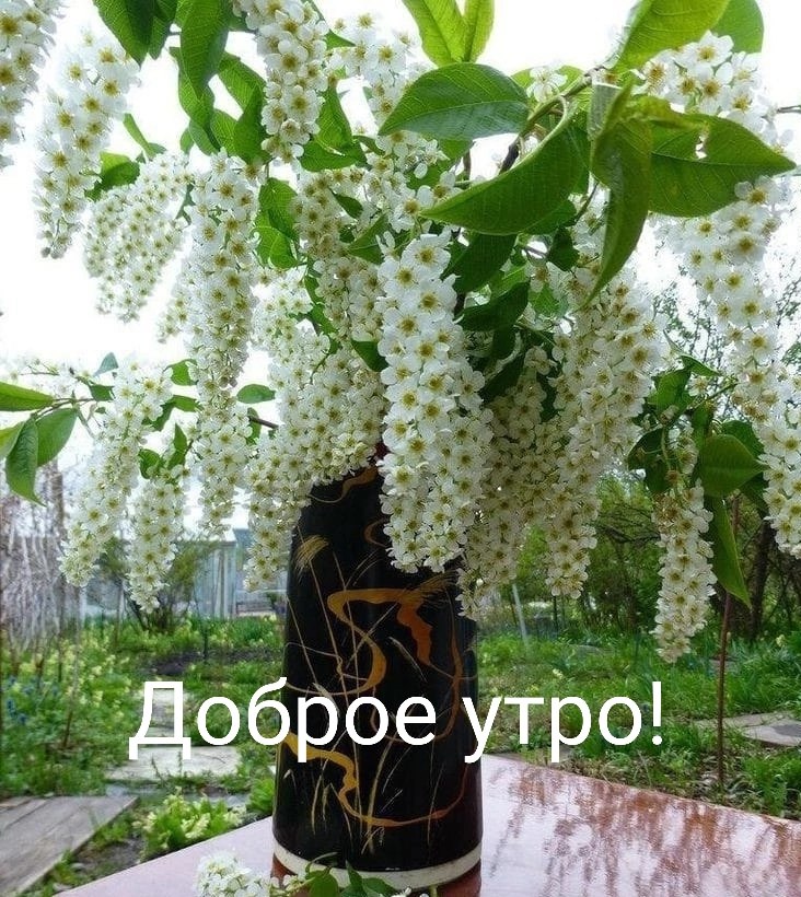   ,    . - 26  2025  23:43