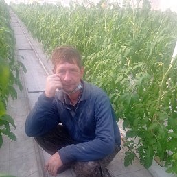 ���������, ����������, 45 ���