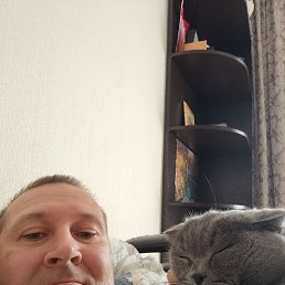 �������, ������, 44 ����