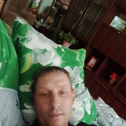 ����, 41 ���, ������