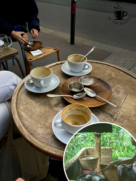 Управление по кофе и чаю Эфиопии (ECTA) сообщили, что Эфиопия заработала 140 млн долларов США за ...