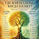 ���� �������, ����������� ����, 62 ���� - ��������� 23 ���� 2026 � ������ ������ ��������
