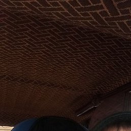 �����, �����������, 48 ���