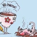 ���� ��������, ����������, 71 ��� - ��������� 6 ��� 2026 � ������ ������ ��������