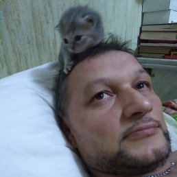 ���������, ���������, 53 ����