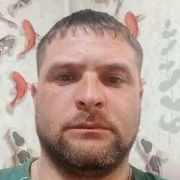 ����� �������������, ������, 39 ���