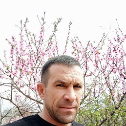 ������, 44 ����, �������