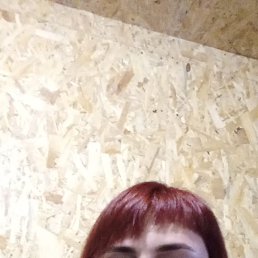 , 40, 