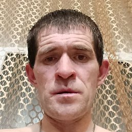 ������, ������, 41 ���