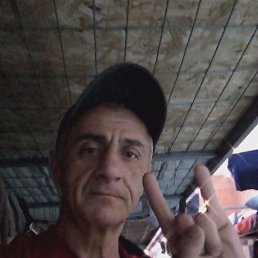 , 49, 