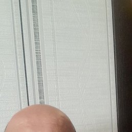 , 54, 