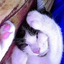 ���� Djon, ����, 52 ���� - ��������� 13 �������� 2024 � ������ ���� ����������