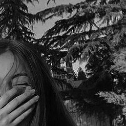 �����, �������, 33 ����