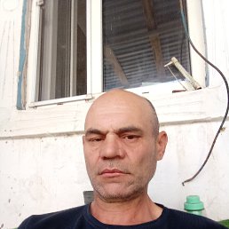 Co-Of, 47, -