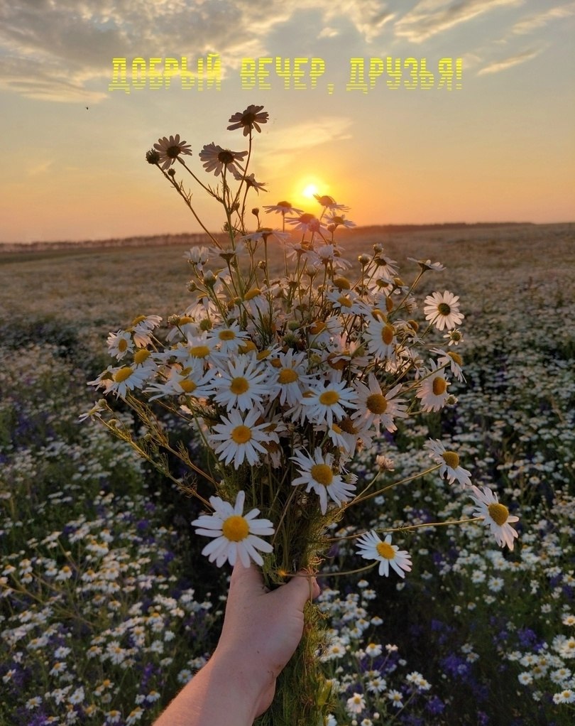   ,    . - 13  2025  15:15