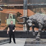 ��������, 28 ���, ������