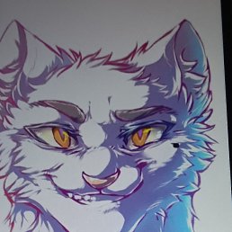 ���� ����, ����, 38 ��� - ��������� 15 ������� 2025