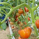 ���� ������, ������ - ��������� 30 ������� 2023 � ������ ���� ����������