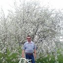���� ��������, ��������� - ��������� 31 ����� 2026 � ������ ���� ����������
