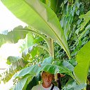 ���� ������� ��������, ������, 37 ��� - ��������� 10 ������ 2026 � ������ ���� ����������