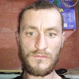 ������, �����������, 36 ���