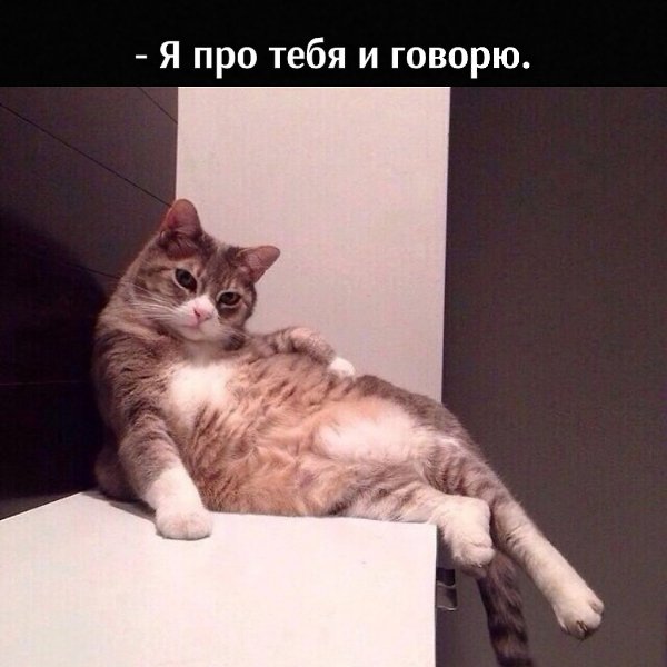       - 14  2025  16:28 - 3