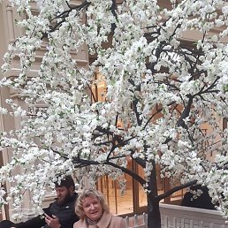 �����, ������, 66 ���