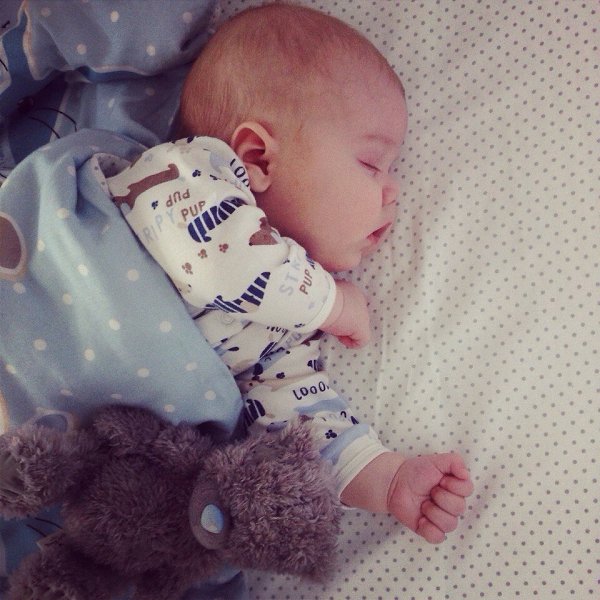 �������, ������, ��������� ������� ��������, �������, ���������� ������� ��������� �������, ����� ...