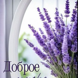 �������� �������, �����, 19 ���