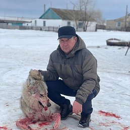 ����, ���������, 73 ����