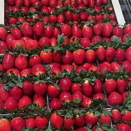 �������, ������, 34 ����