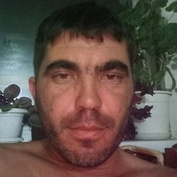 ������, ���������, 38 ���