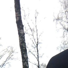 �������, ������, 50 ���