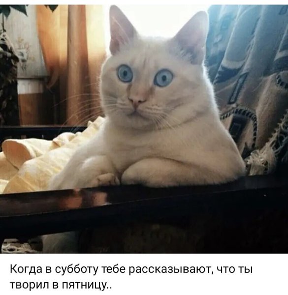***Victoria Viktorovna*** - 6  2024  02:57