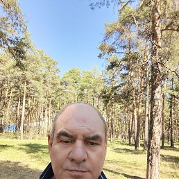 , 58 , 