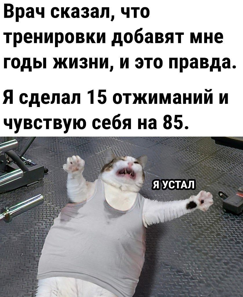 ЁПп - 30 августа 2025 в 15:40