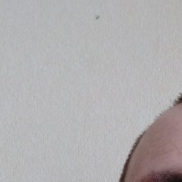 �������, ������, 41 ���