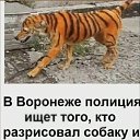 ���� �����, ������, 39 ��� - ��������� 2 ����� 2025 � ������ ������ ��������